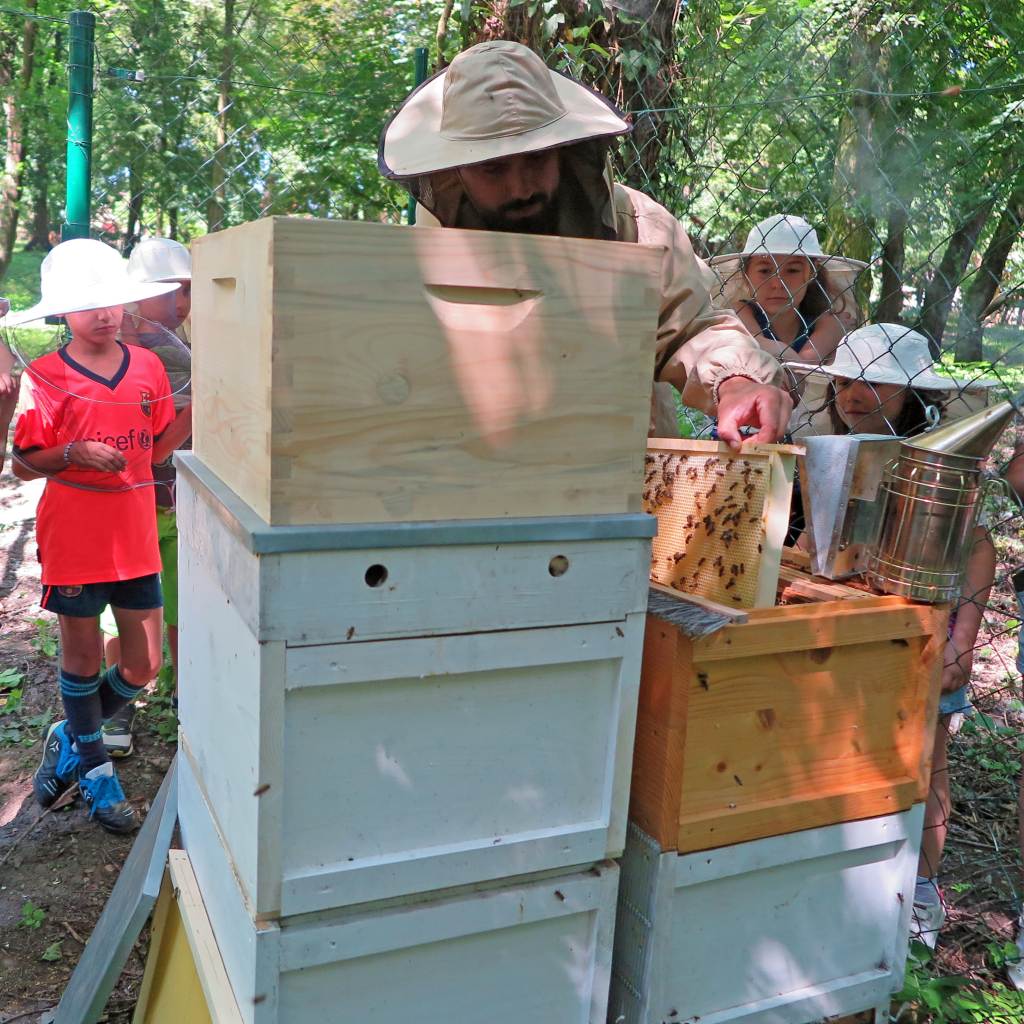 Plyšová kocka 2019